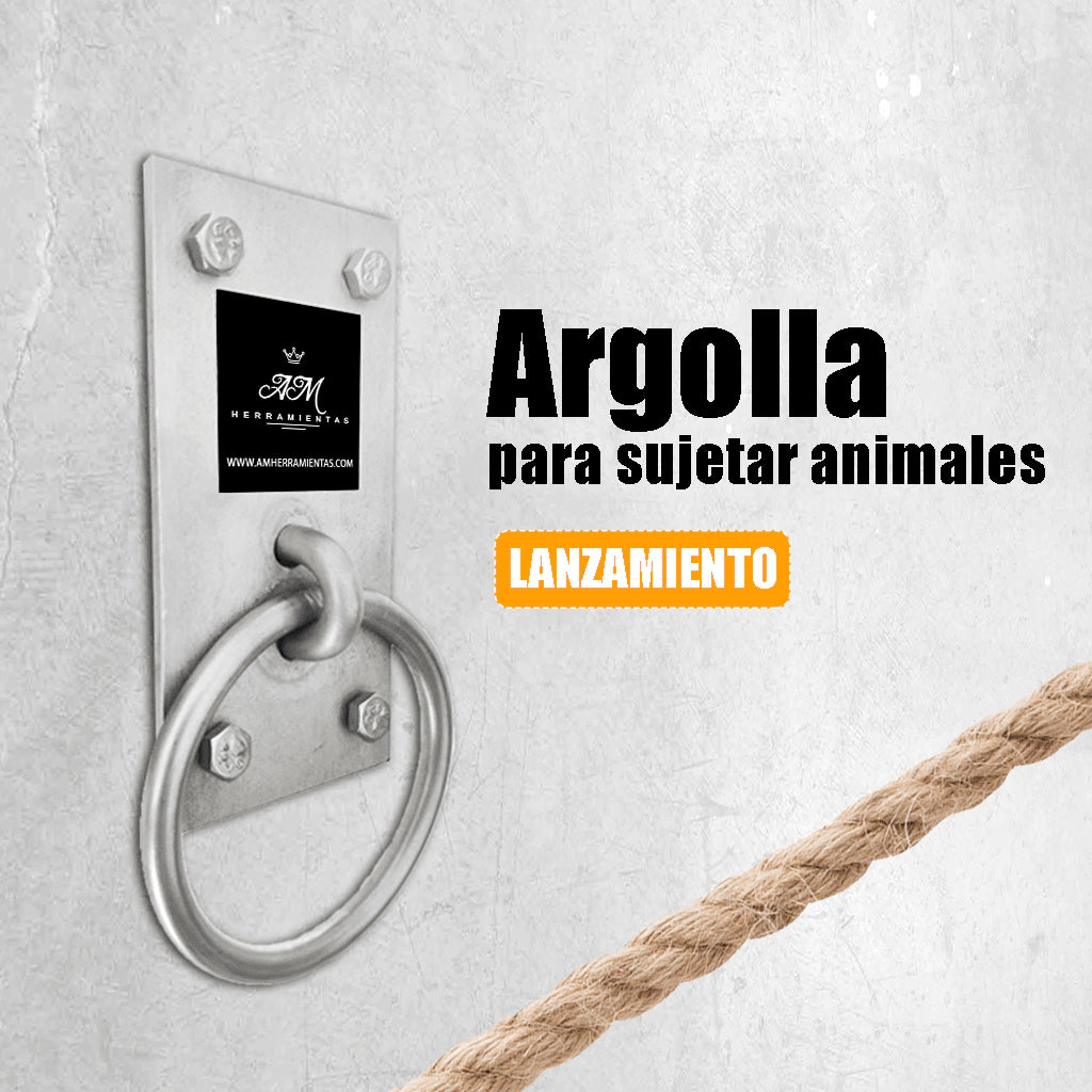 Argolla de Acero Inoxidable